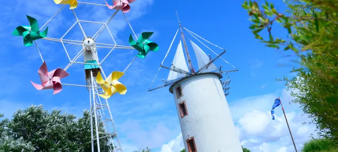Wind Garden
