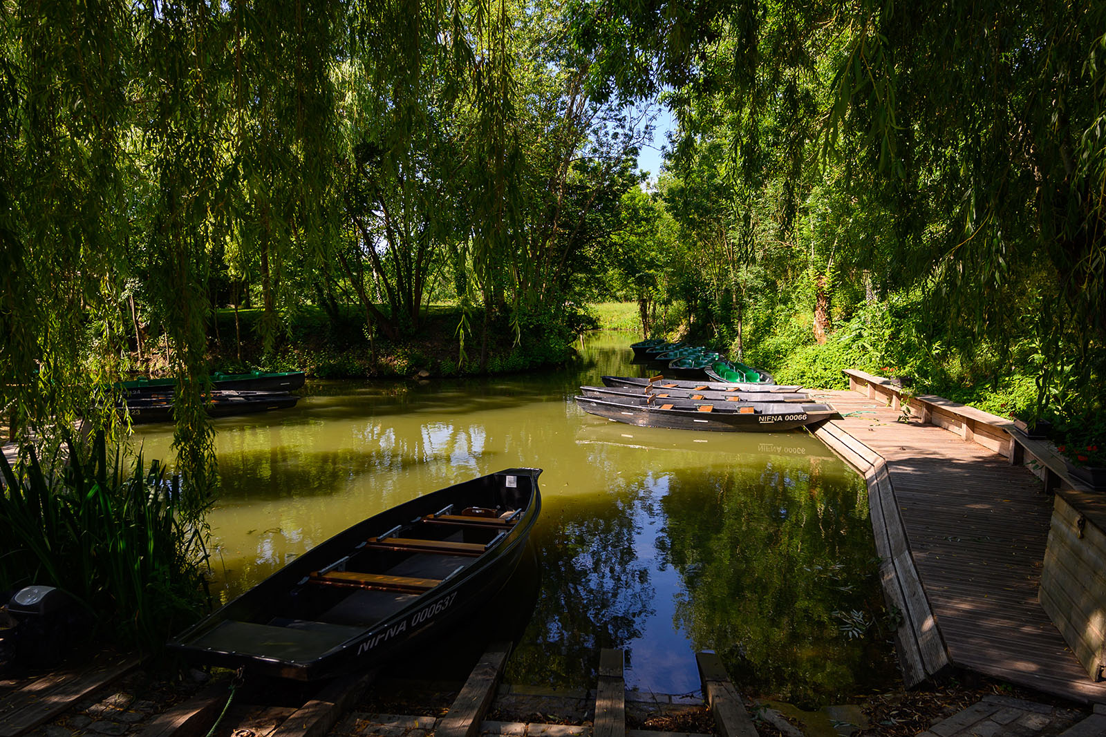 Jeu de l'élastique - Les boutiques du Marais Poitevin