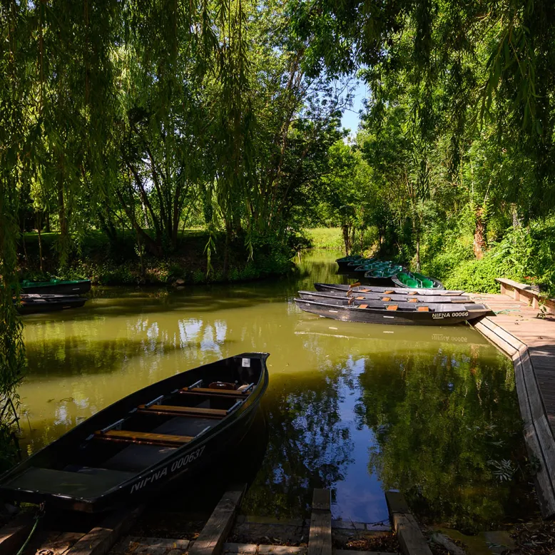 Le Marais Poitevin