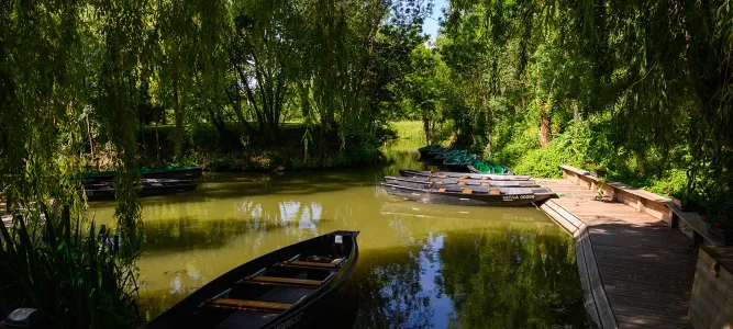Le Marais Poitevin