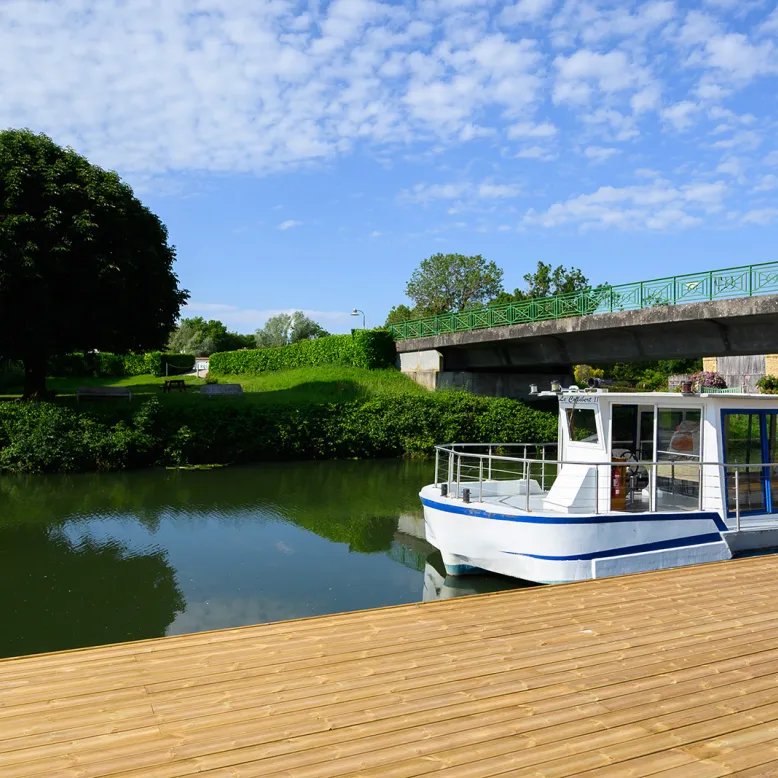 Damxvix