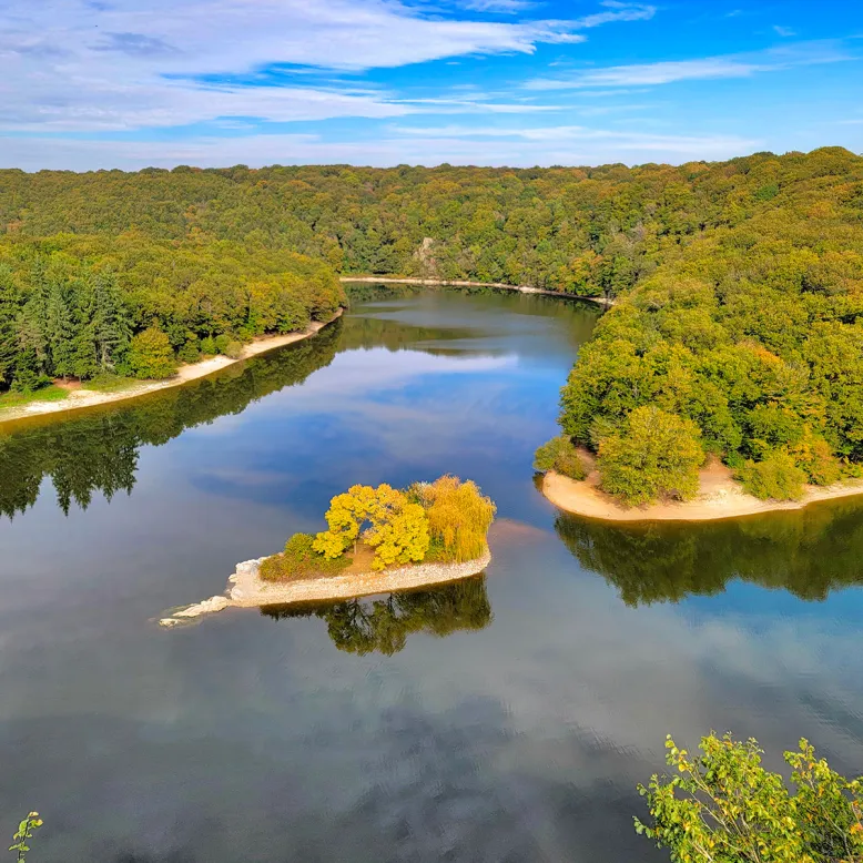 Mervent-Vouvant Forest Massif