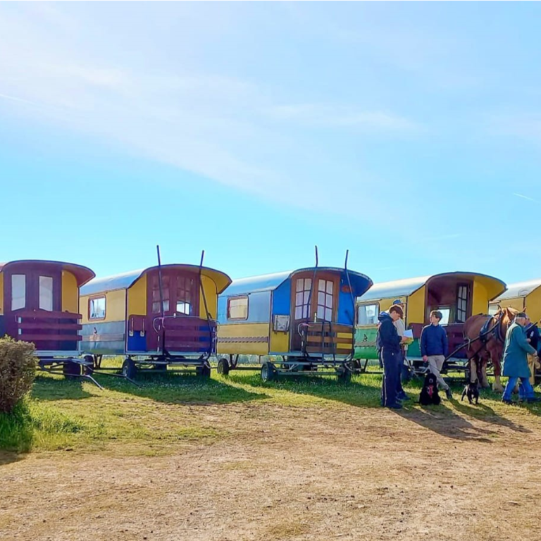 Les Roulottes du Sud Vendée, une balade hippom ...