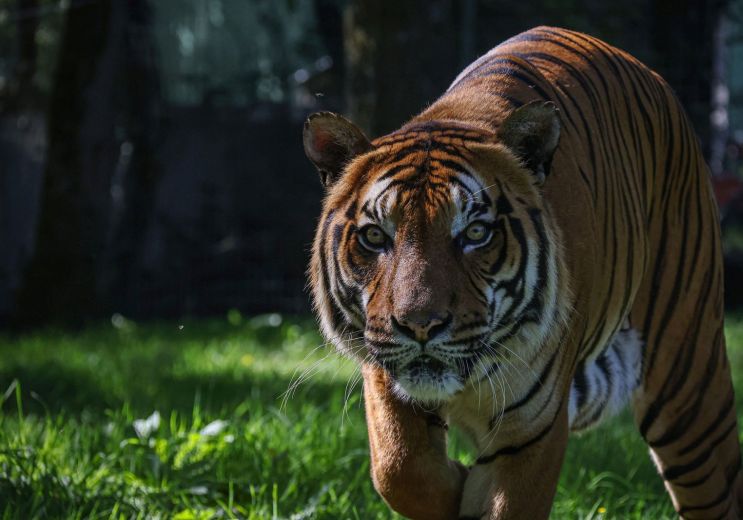 Natur’Zoo de Mervent, la promesse d’une belle ...