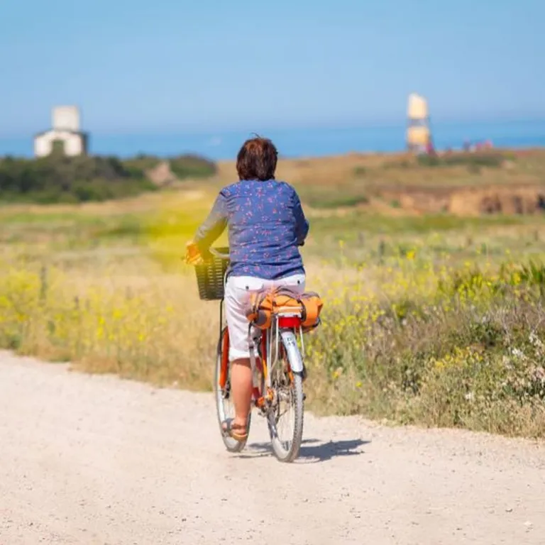 Un été en Vendée : le top des idées pour en pr ...
