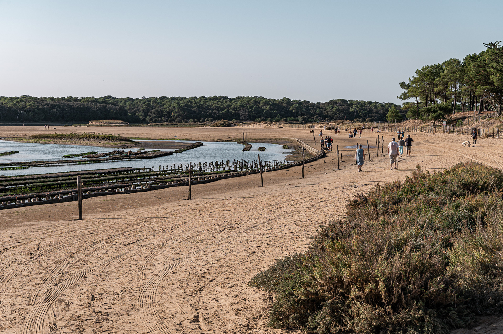 Talmont-Saint-Hilaire : 3 raisons de succomber ...