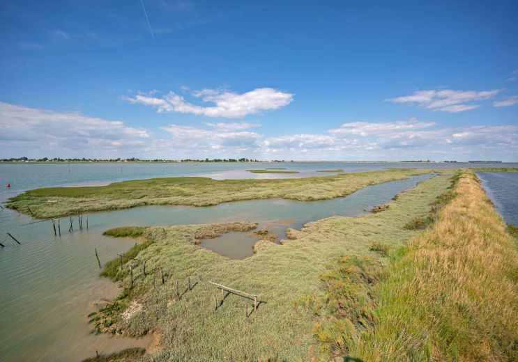 Se balader à la Faute-sur-Mer et sur la Pointe ...