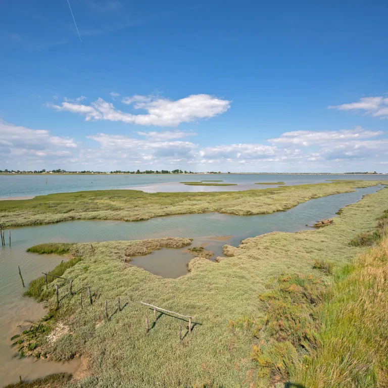 Se balader à la Faute-sur-Mer et sur la Pointe ...
