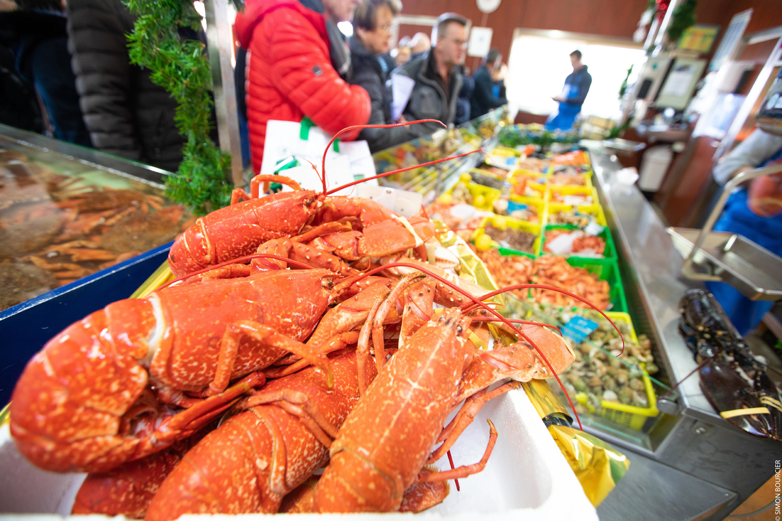 Viviers de Sion: buy fresh shellfish and crust ...