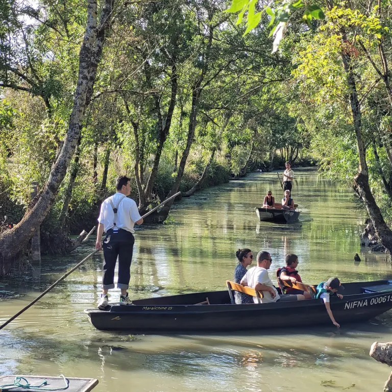 Promenade en barque dans le marais en Vendée