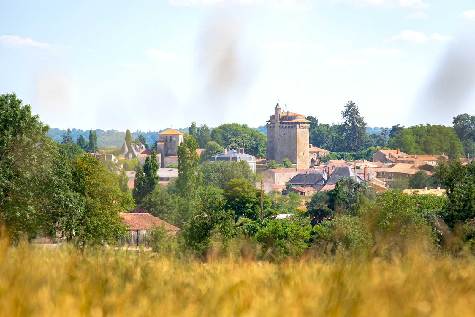 What to visit in Vendée?