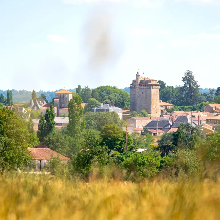 Que visiter en Vendée ?