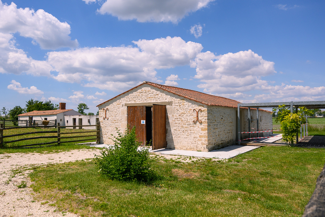 The House of the Master of the Dikes