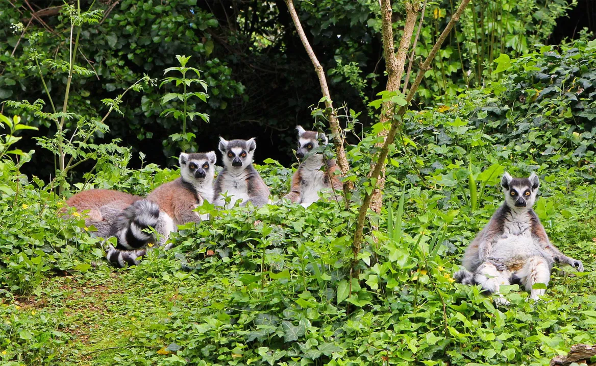 The Zoo of Les Sables d'Olonne