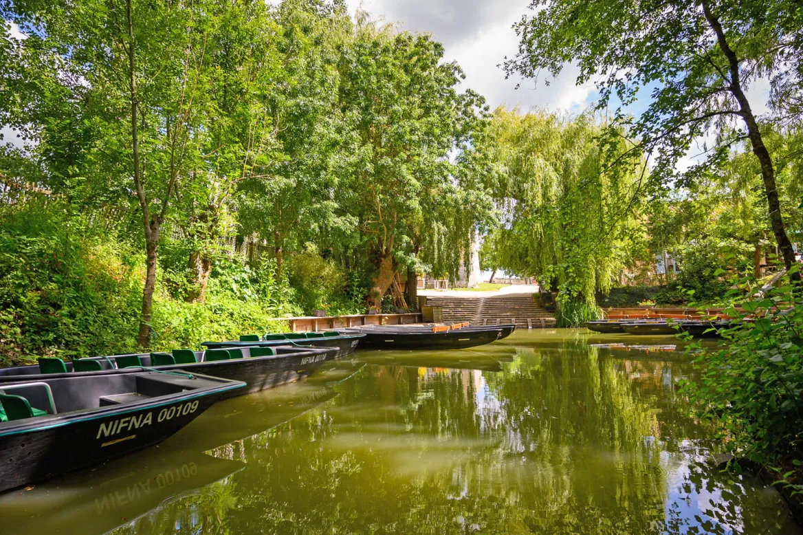 Marais poitevin at Mallezais
