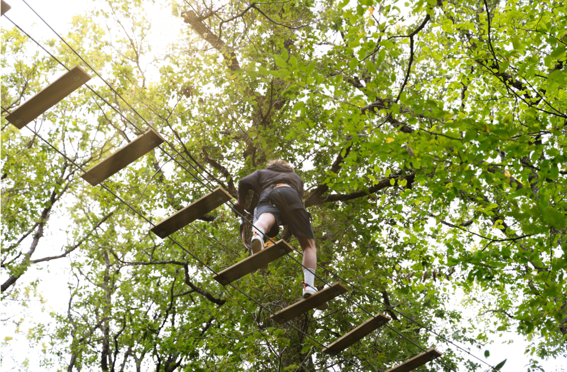 Tree climbing O Fun Park