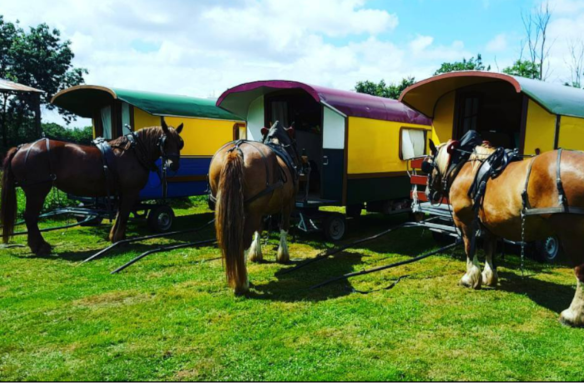 trailers south vendee