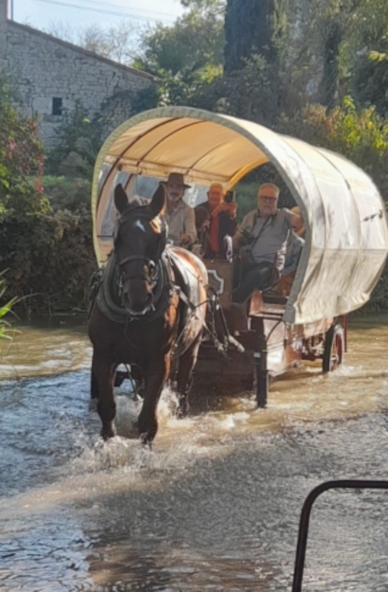 cart in the river