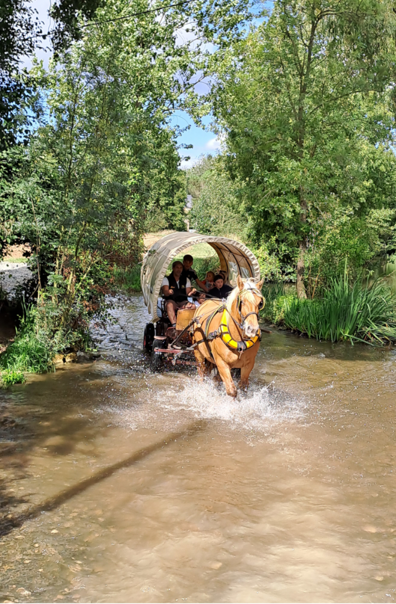 south trailer sold in the river