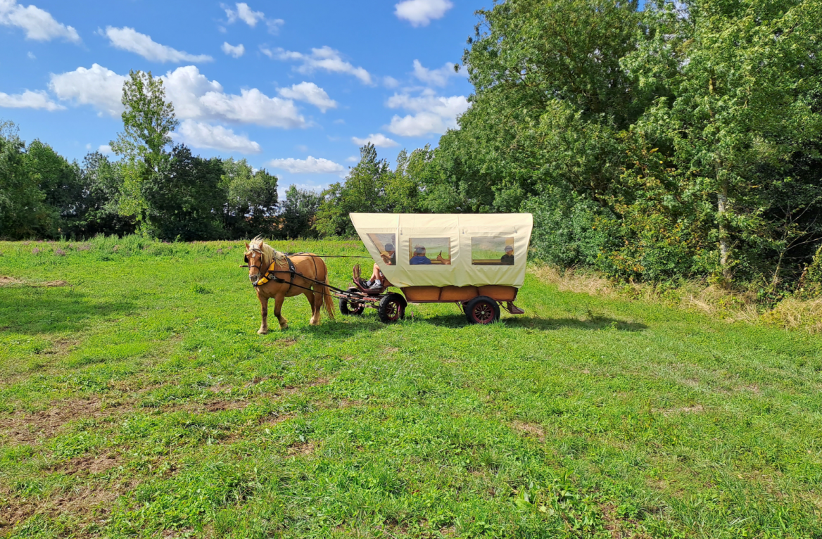 south vended trailers