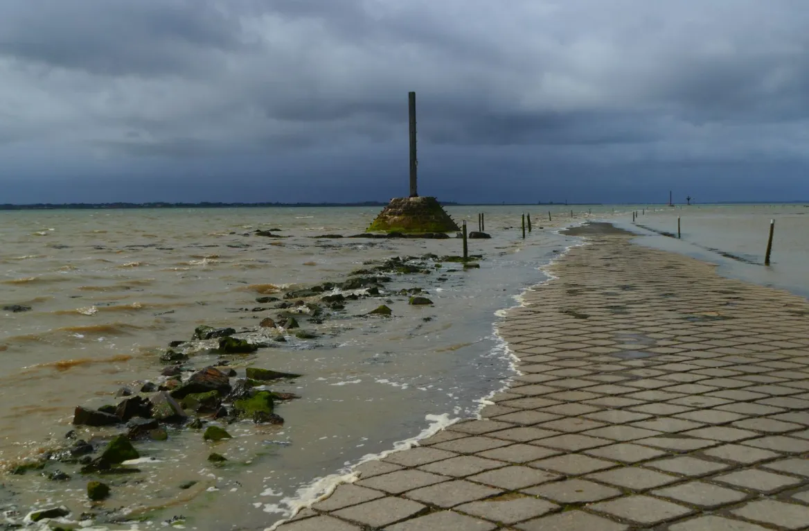 gois noirmoutier