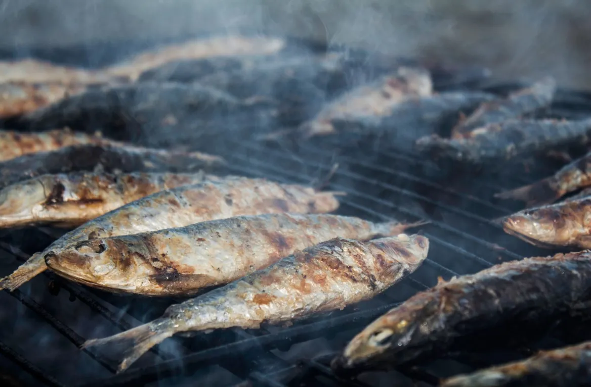 sardine grillée