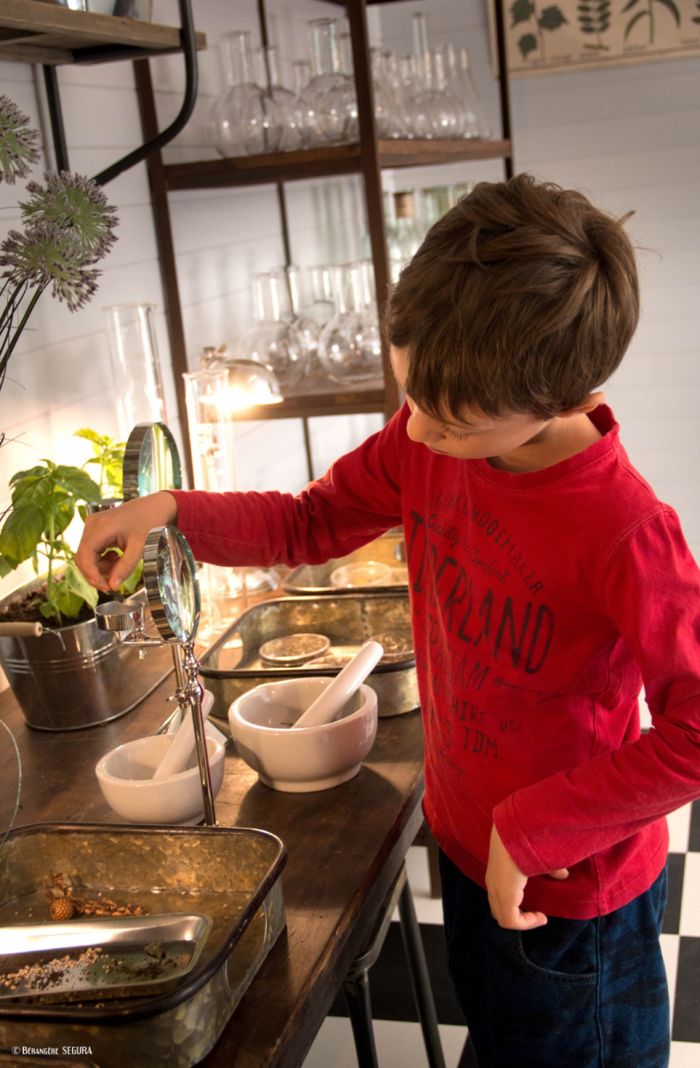 extraordinary vegetable garden