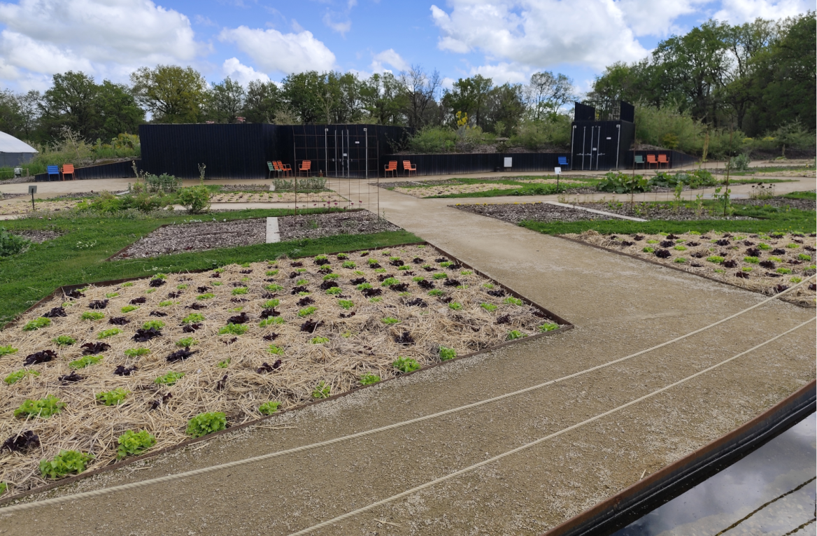 extraordinary vegetable garden