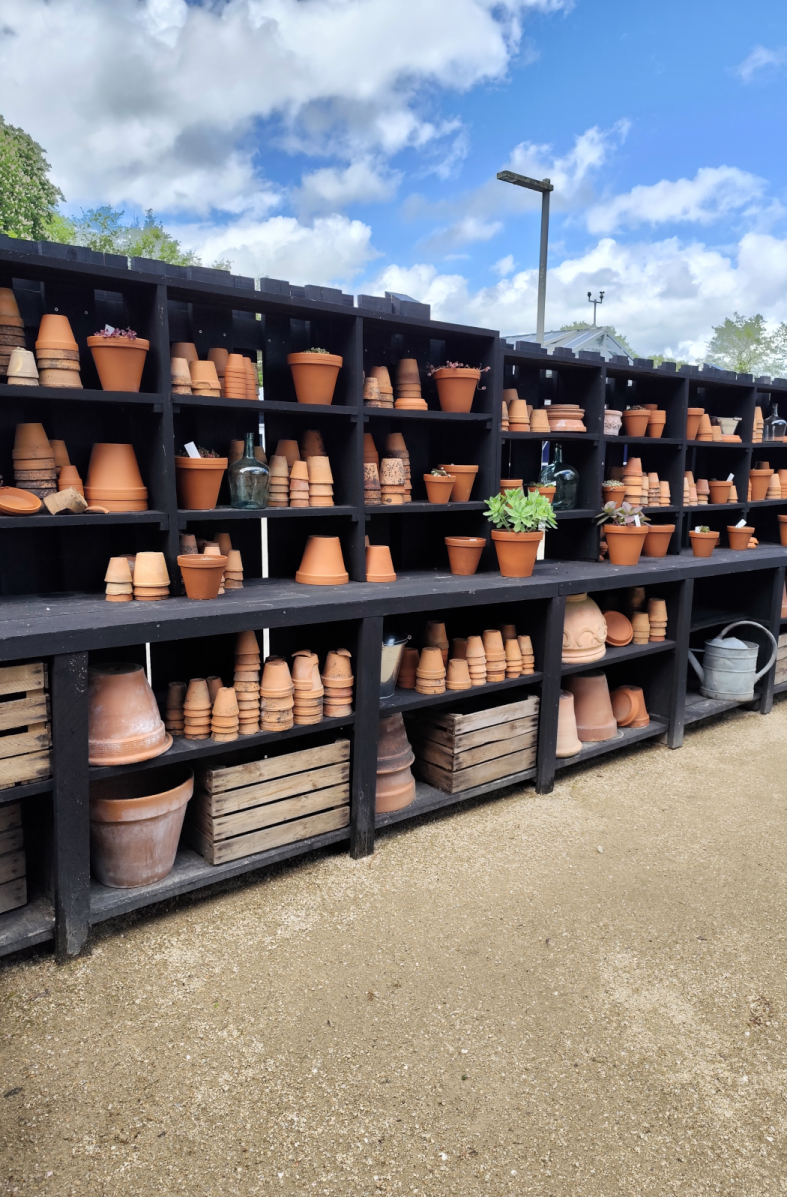 extraordinary vegetable garden