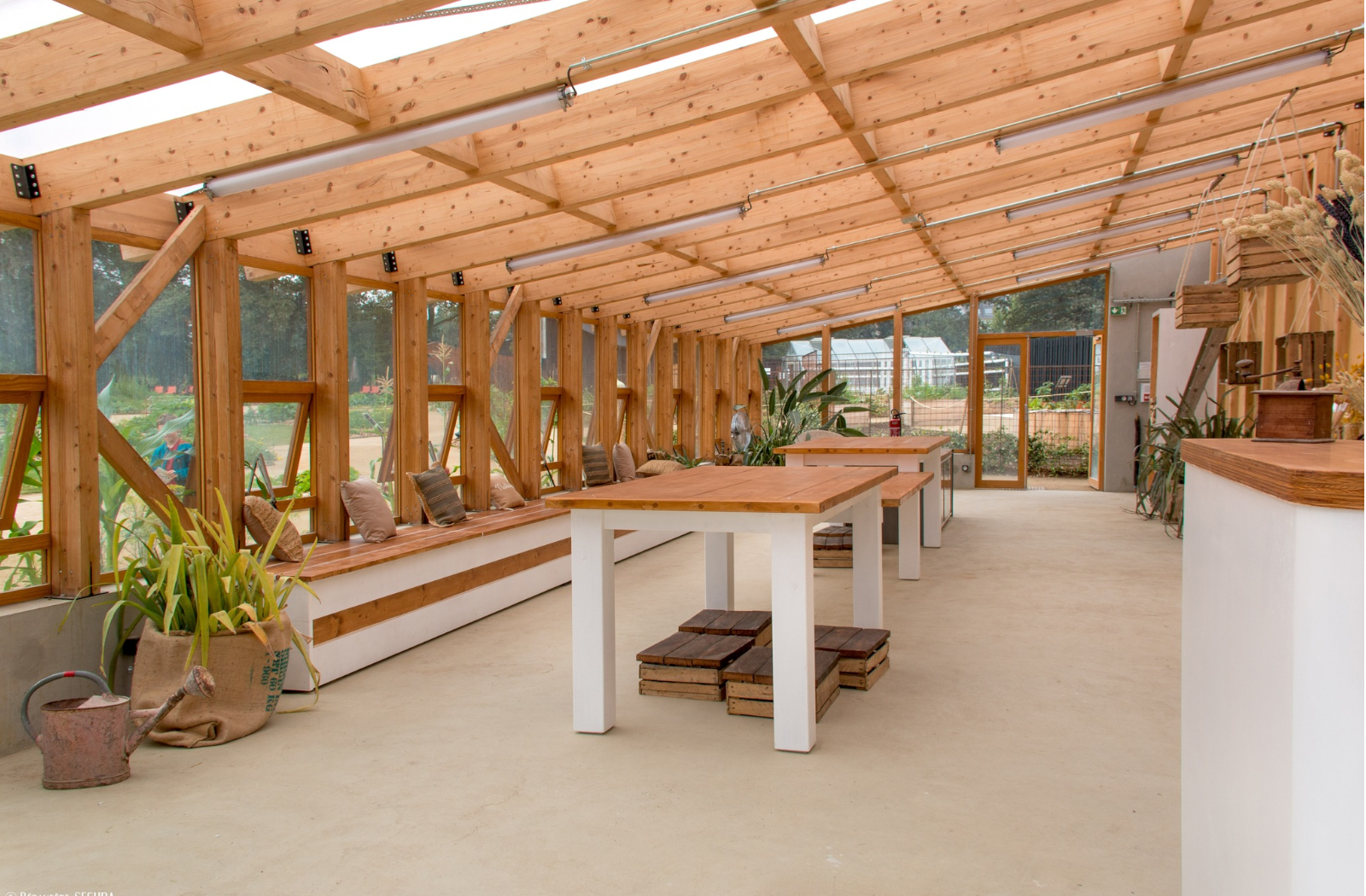 extraordinary vegetable garden