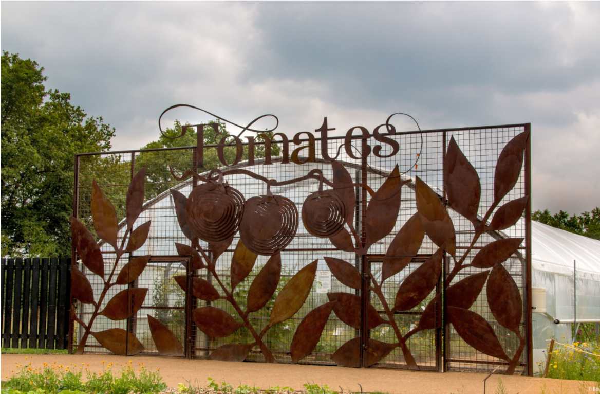 extraordinary vegetable garden