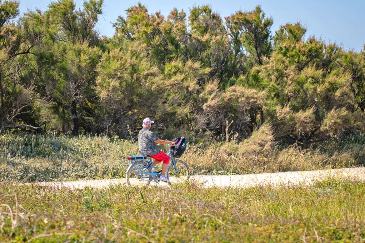 Cycling in Vendée
