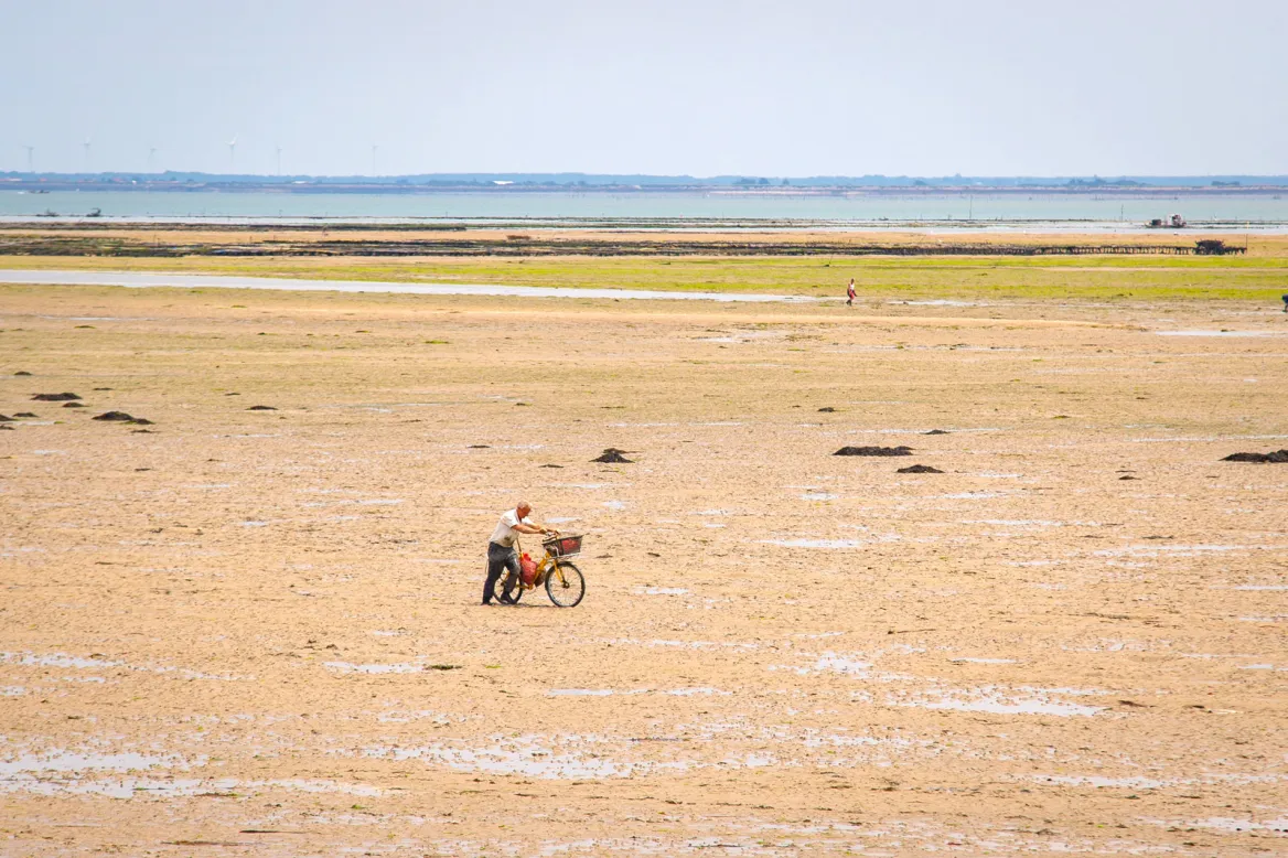 Cycling in Vendée