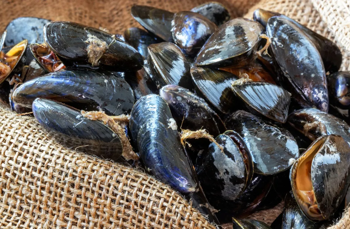 restaurant fruits de mer et poissons vendée