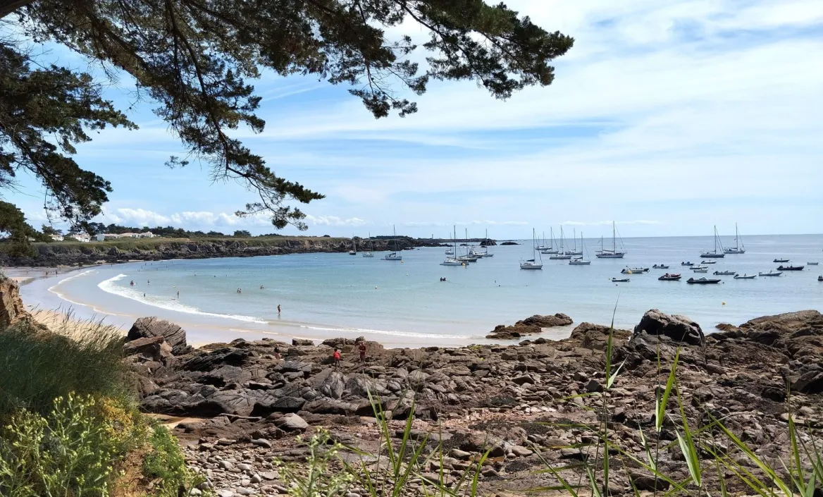compagnie yeu continent vendée