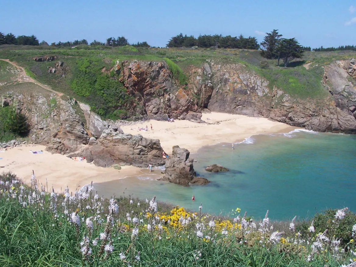 compagnie yeu continent vendée