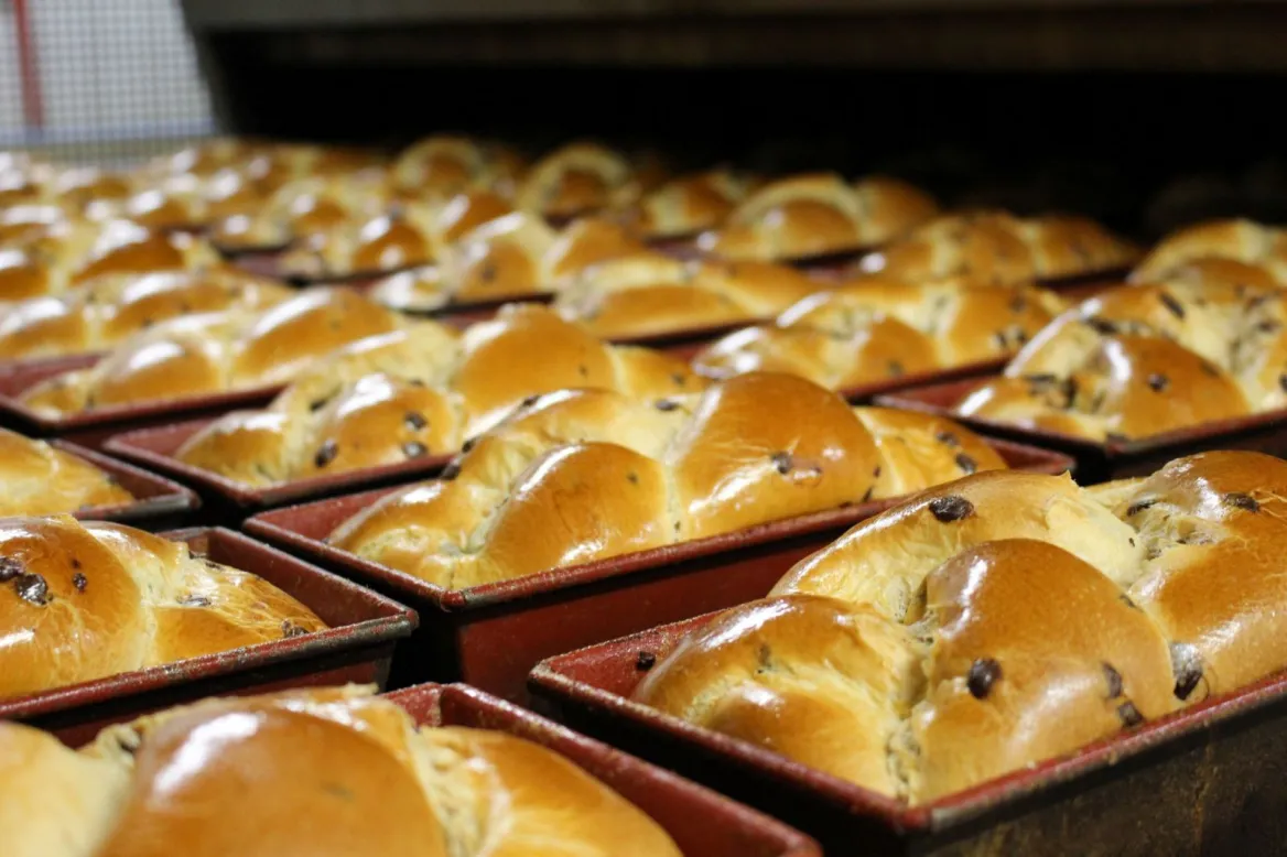 Fonteneau Brioche