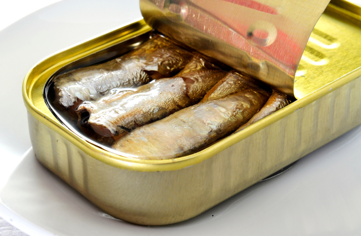 conserve de sardine