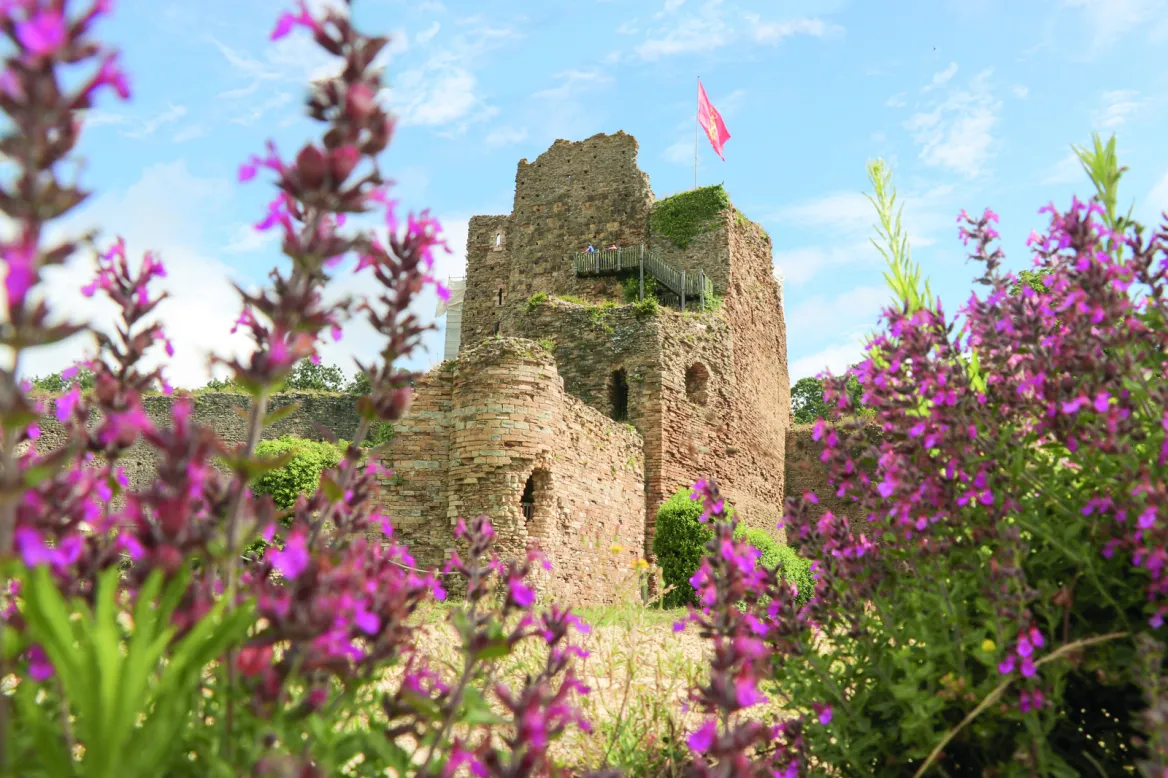 Talmont Castle