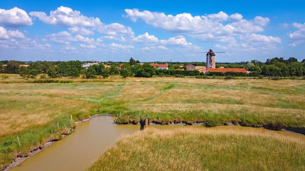 Sallertaine dans le Marais Breton Vendéen
