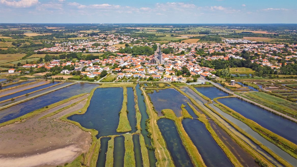 Salt marshes of the Ile d'Olonne