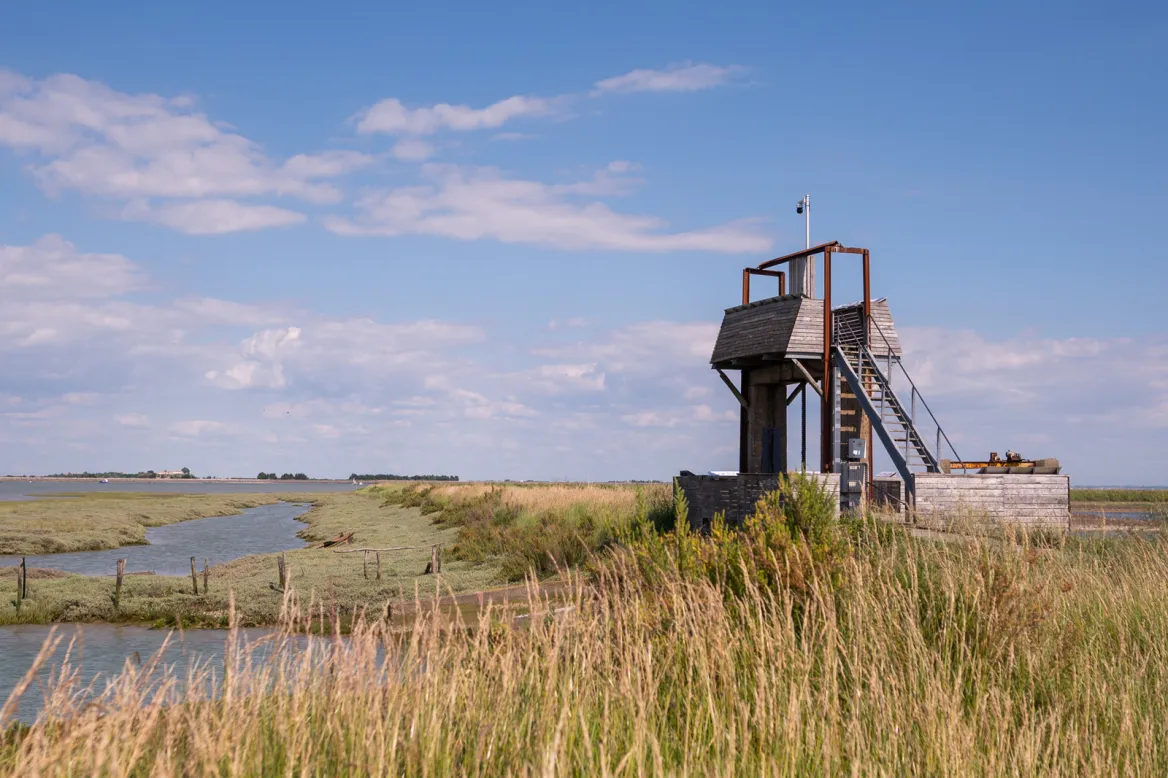 Randonnée à la pointe d'Arçais