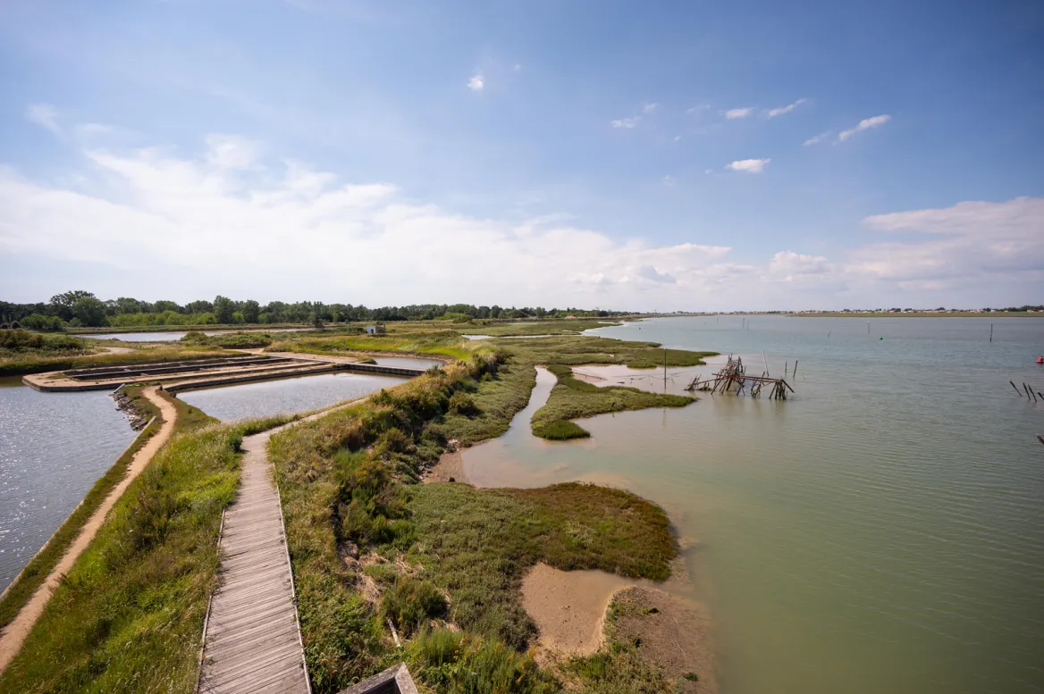 Pointe d'Arçais