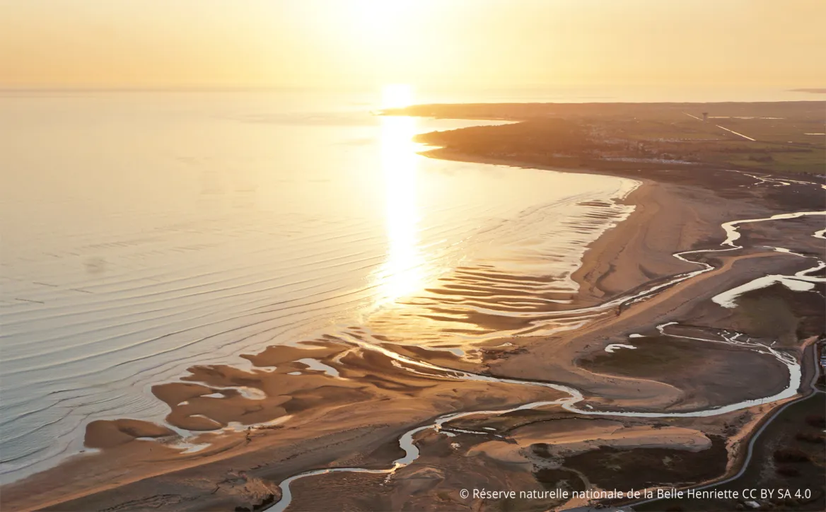 Réserve naturelle nationale de la Belle Henriette