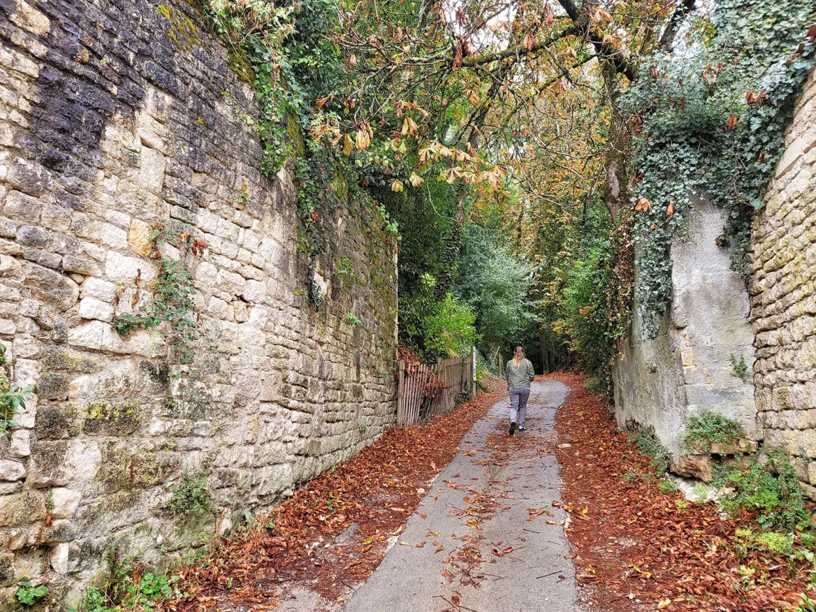 autumn leaves