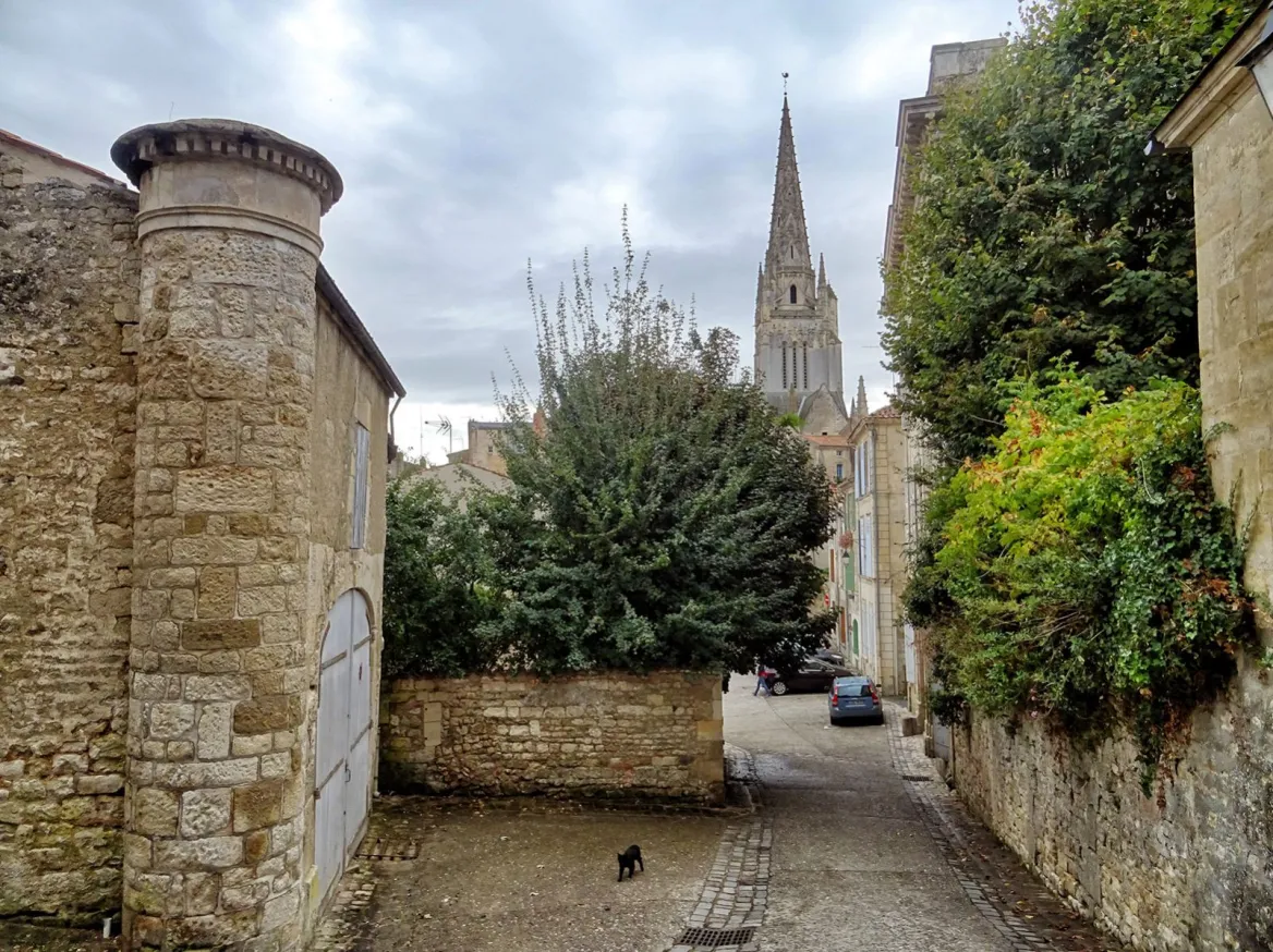 Fontenay-le-Comte