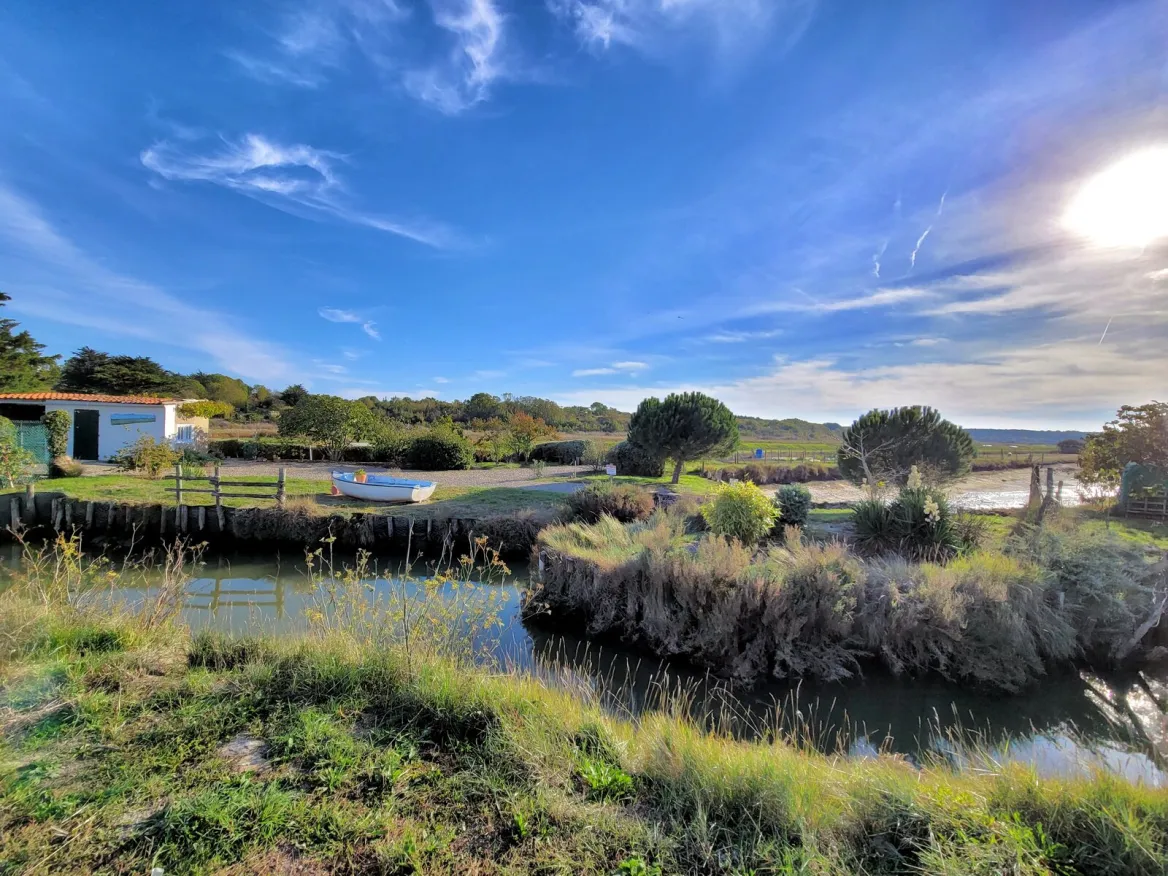 The fish marsh