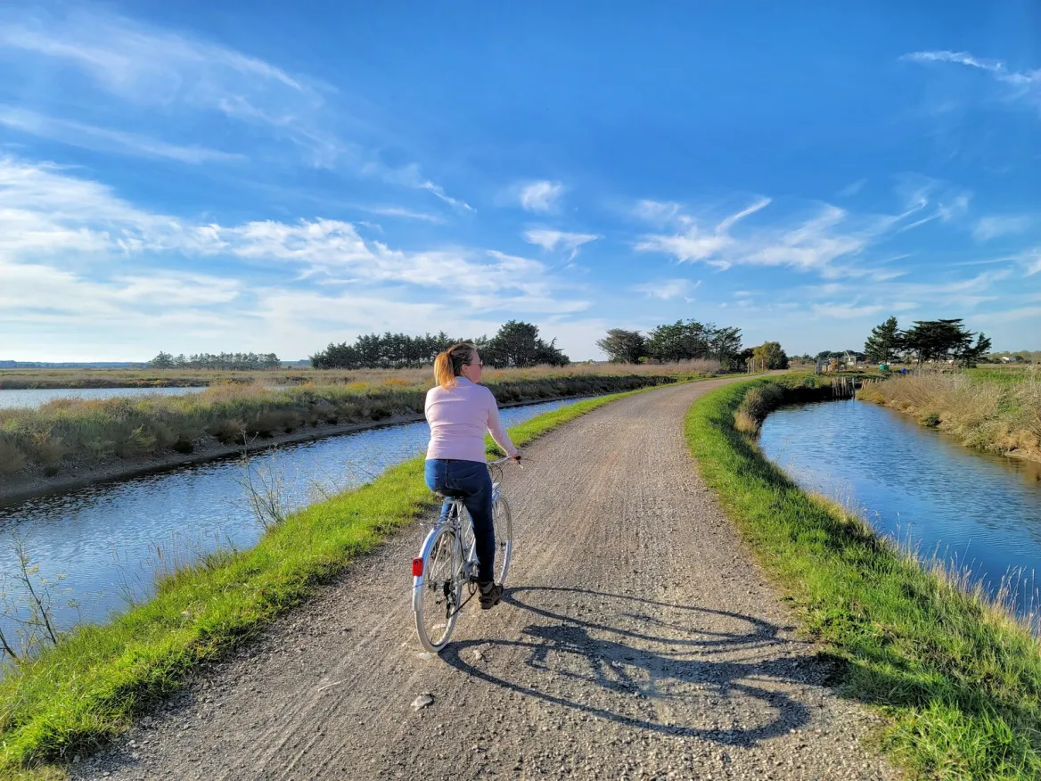 The fish marsh