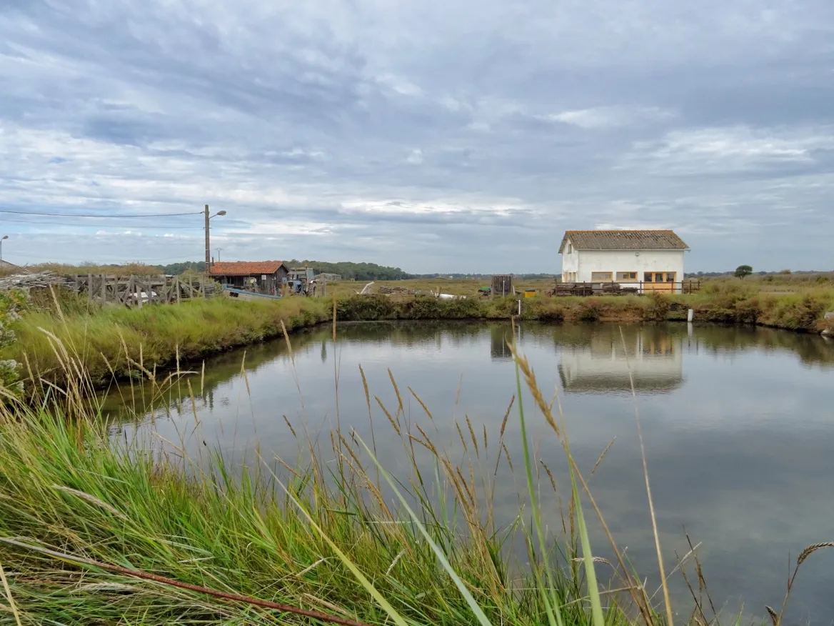 The oyster port