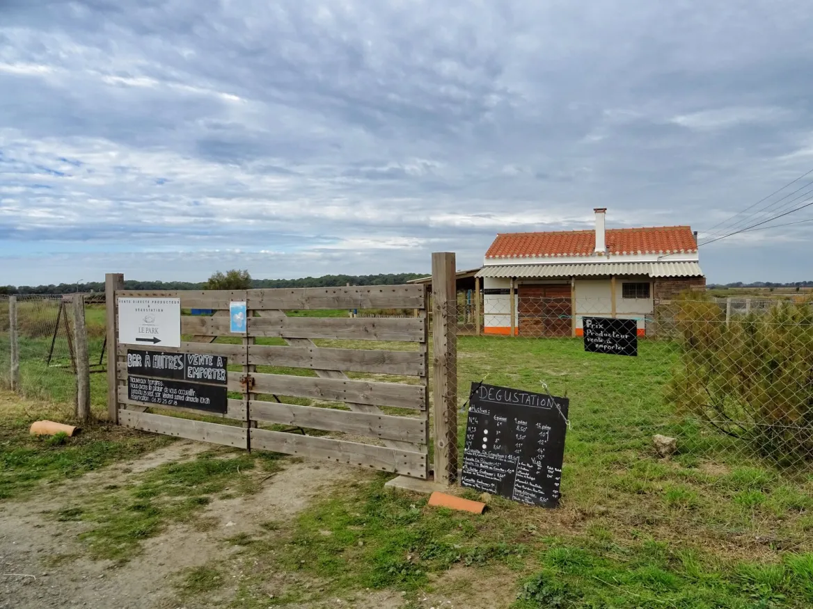 The oyster port